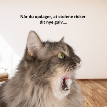 När du upptäcker...